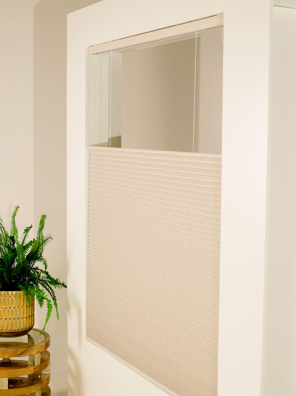 Honeycomb Blinds — Day-Night Light Control