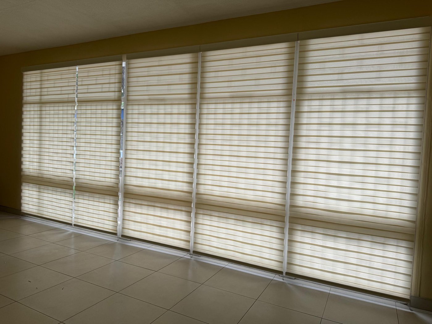 Zebra blinds wall — MoHSS head office